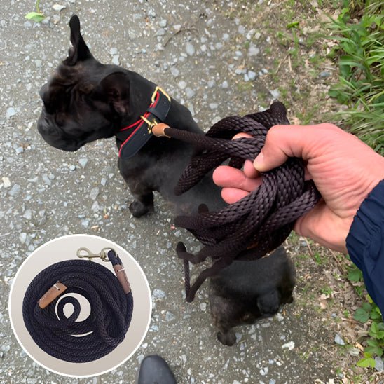 laisse chien purpre, café, bleue profond - Mon chien confortable