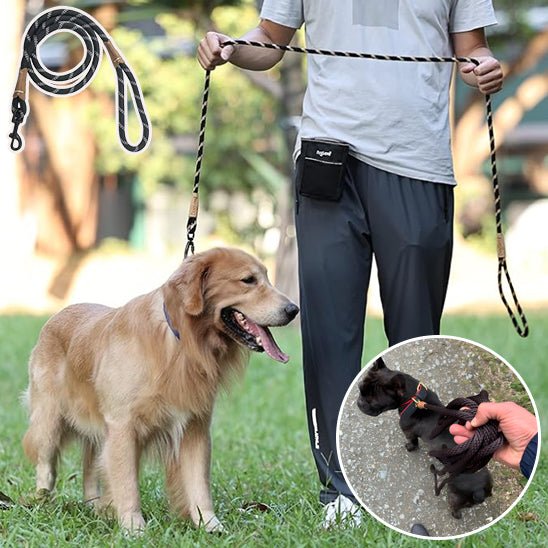 laisse chien purpre, café, bleue profond - Mon chien confortable