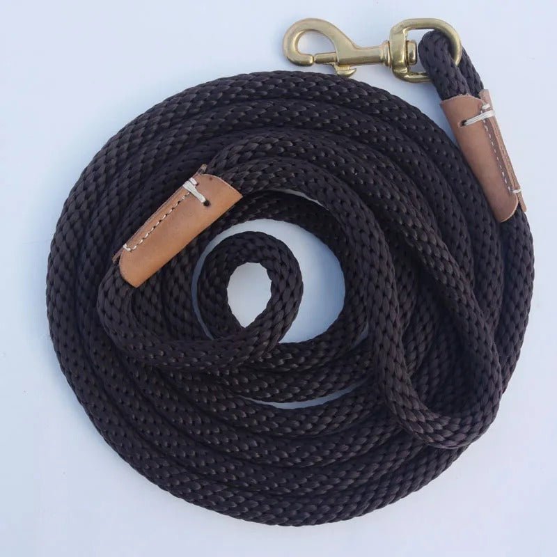 laisse chien purpre, café, bleue profond - Mon chien confortable