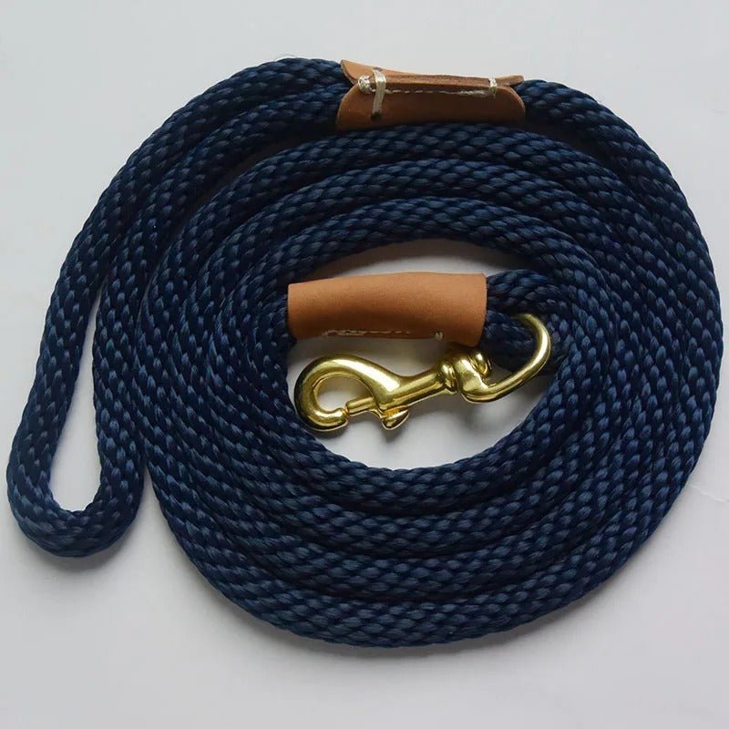 laisse chien purpre, café, bleue profond - Mon chien confortable