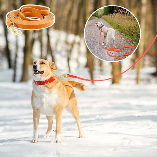 laisse chiens - PVClongue - Mon chien confortable