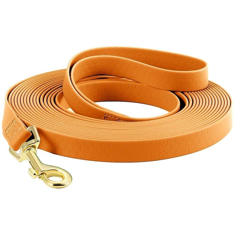 laisse chiens - PVClongue - Mon chien confortable