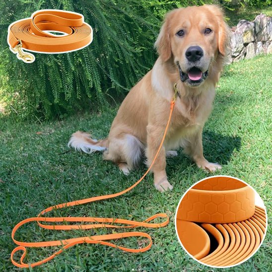 laisse chiens - PVClongue - Mon chien confortable
