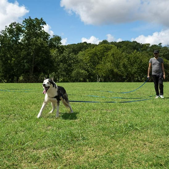 laisse chiens - UL imperméable - Mon chien confortable