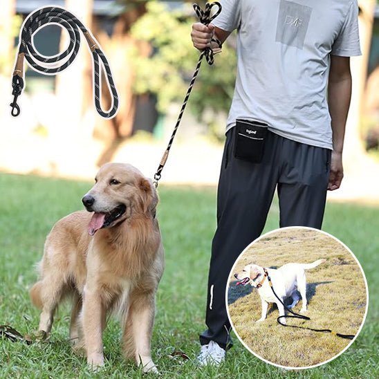 laisse corde pour chien - Mon chien confortable