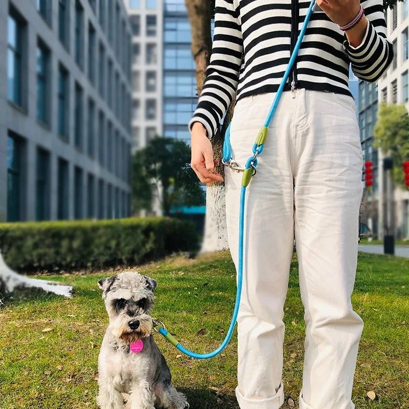 laisse corde pour chien - Mon chien confortable