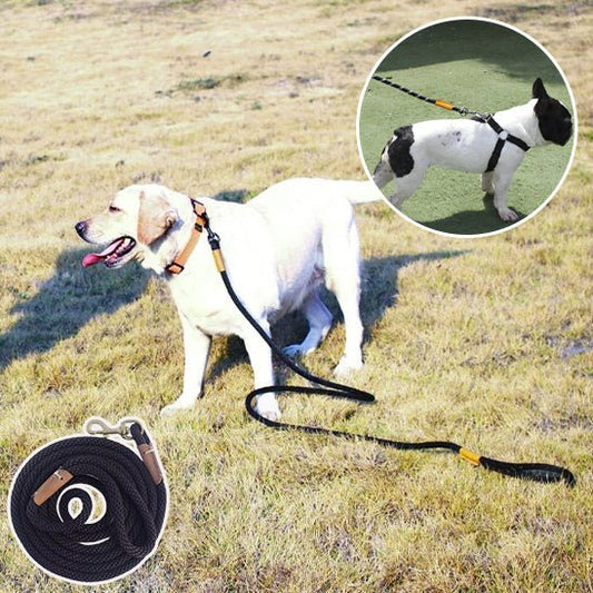 laisse corde pour chien - Mon chien confortable