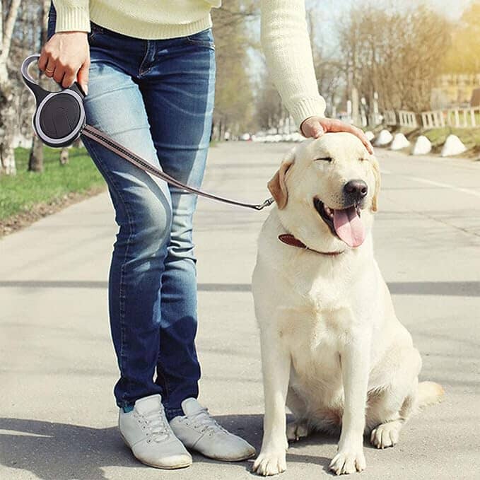 Laisse de chien - MaxLeash™ - Noir - Mon chien confortable