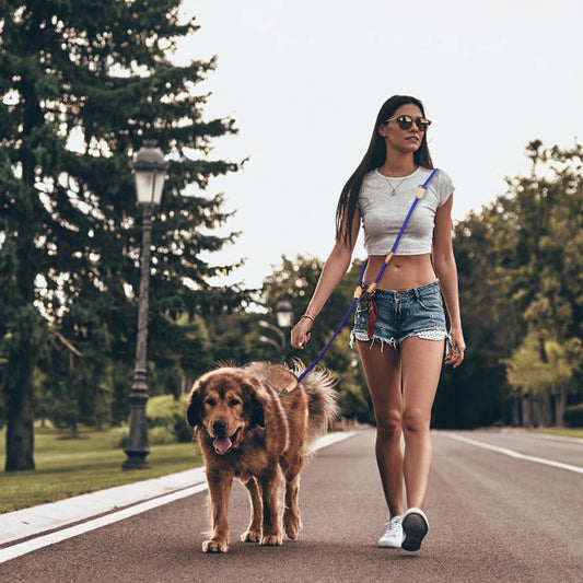 laisse double pour chien - Nylon - Mon chien confortable