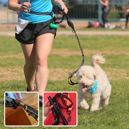 laisse mains libres pour chien - Mon chien confortable