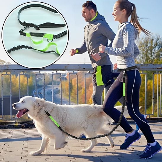 laisse mains libres pour chien - Mon chien confortable