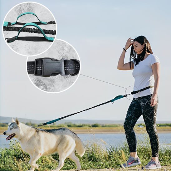 laisse mains libres pour chien - Mon chien confortable