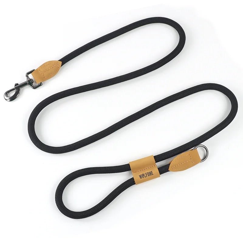 laisse mains libres pour chiens - Mon chien confortable