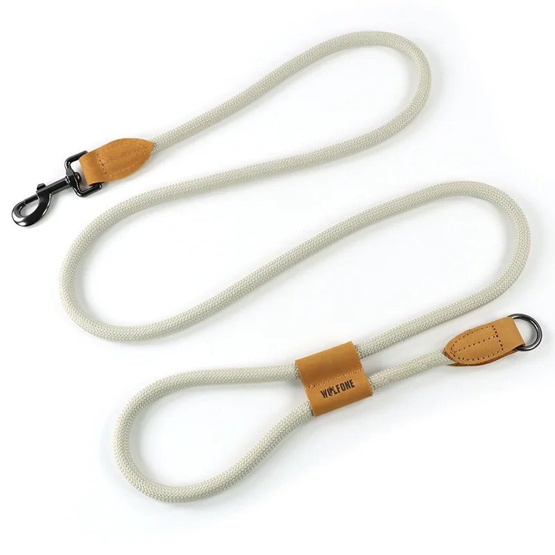 laisse mains libres pour chiens - Mon chien confortable
