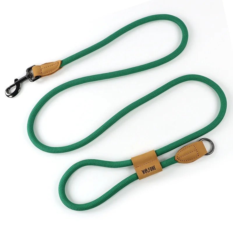 laisse mains libres pour chiens - Mon chien confortable