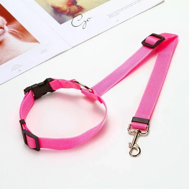 laisse pour chien - Mon chien confortable
