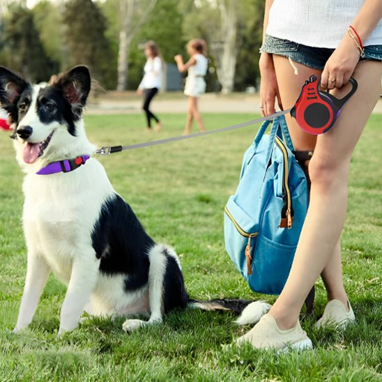 laisse pour chien - Mon chien confortable