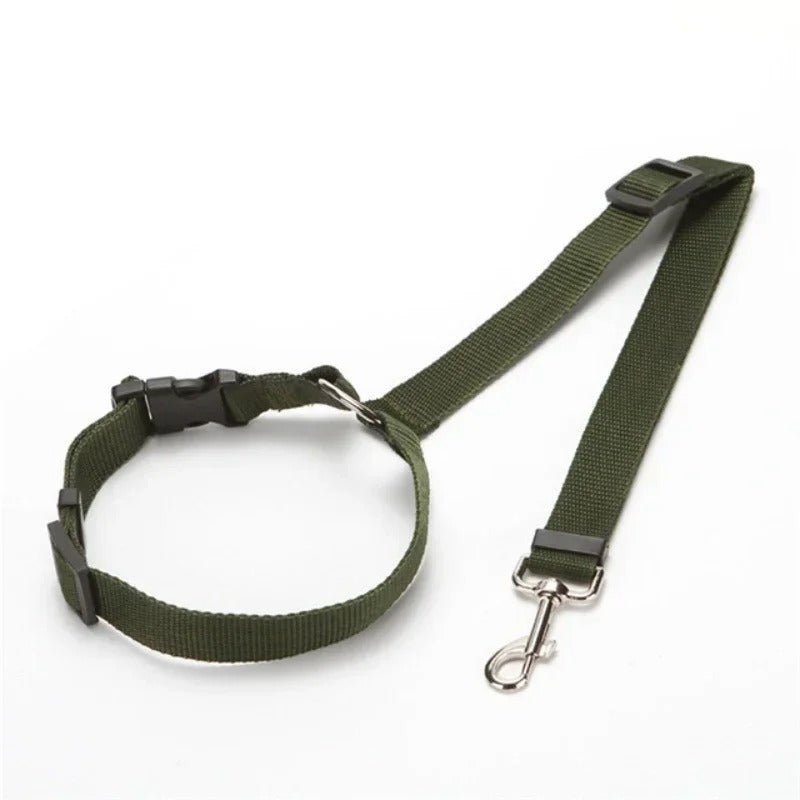 laisse pour chien - Mon chien confortable