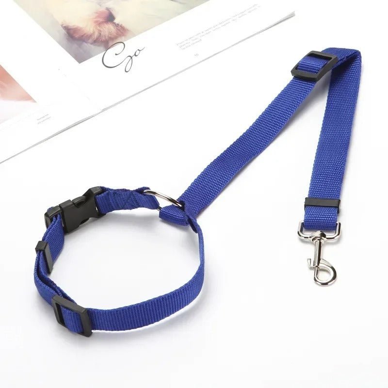 laisse pour chien - Mon chien confortable