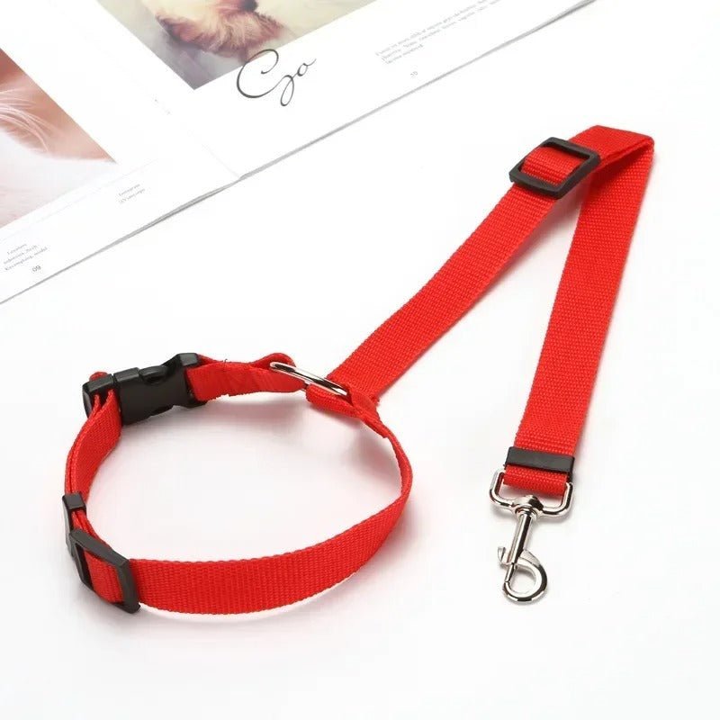 laisse pour chien - Mon chien confortable