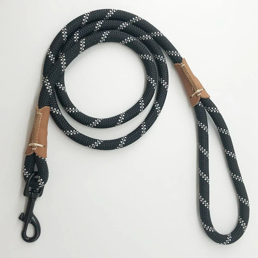 laisse pour chien bleue, noir, verte - Mon chien confortable
