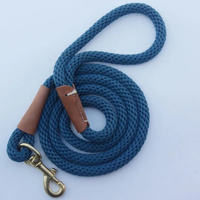 laisse pour chien bleue, noir, verte - Mon chien confortable