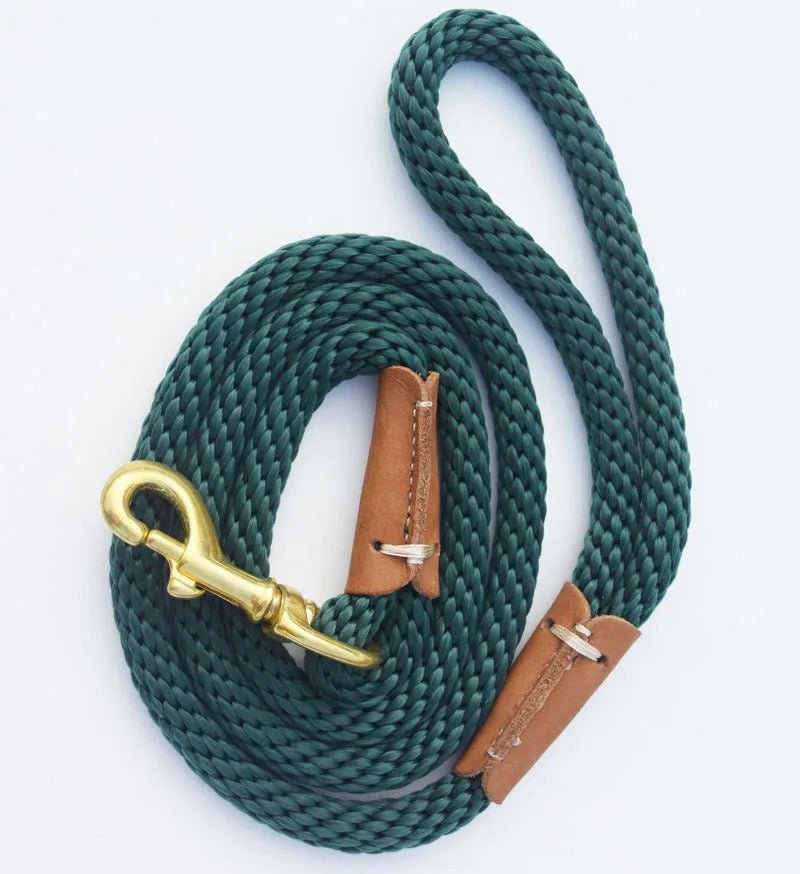 laisse pour chien bleue, noir, verte - Mon chien confortable