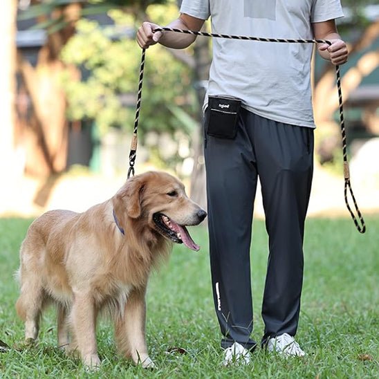 laisse pour chien bleue, noir, verte - Mon chien confortable