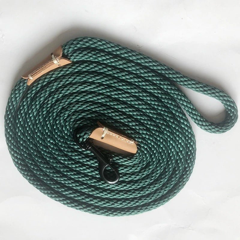 laisse pour chien bleue, noir, verte - Mon chien confortable