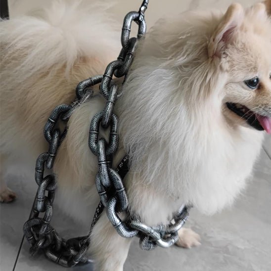 laisse pour chien - en chaîne - Mon chien confortable