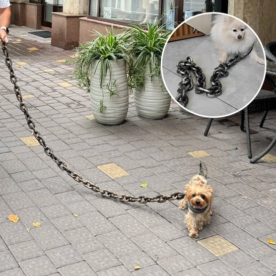 laisse pour chien - en chaîne - Mon chien confortable