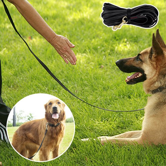 laisse pour chien en PVC - Mon chien confortable
