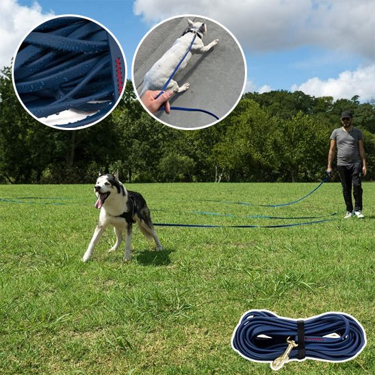 laisse pour chien en PVC - Mon chien confortable