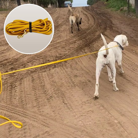 laisse pour chien en PVC - Mon chien confortable