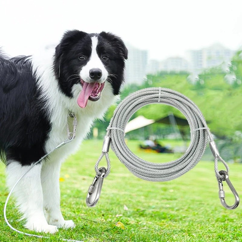 laisse pour chien gris clair - Mon chien confortable