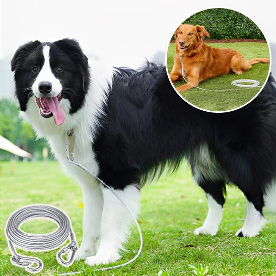 laisse pour chien gris clair - Mon chien confortable