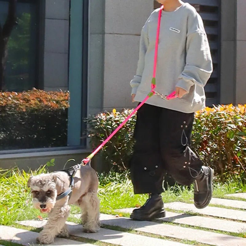 laisse pour chien - les mains libres - Mon chien confortable