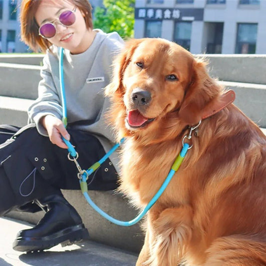 laisse pour chien - les mains libres - Mon chien confortable