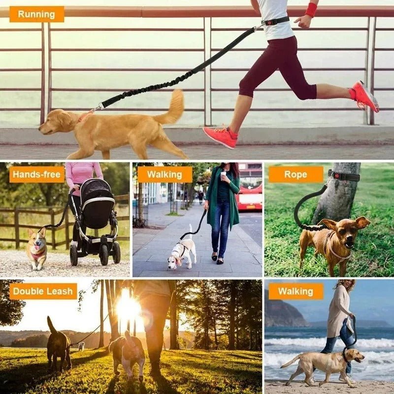 laisse pour chien main libre - Mon chien confortable