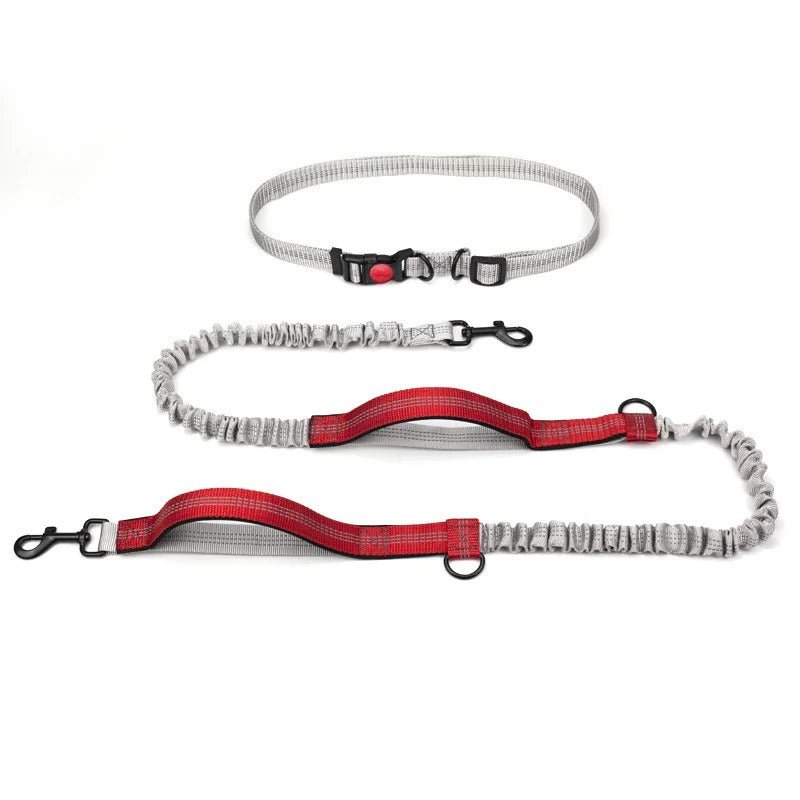 laisse pour chien main libre - Mon chien confortable