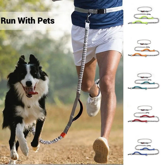laisse pour chien main libre - Mon chien confortable