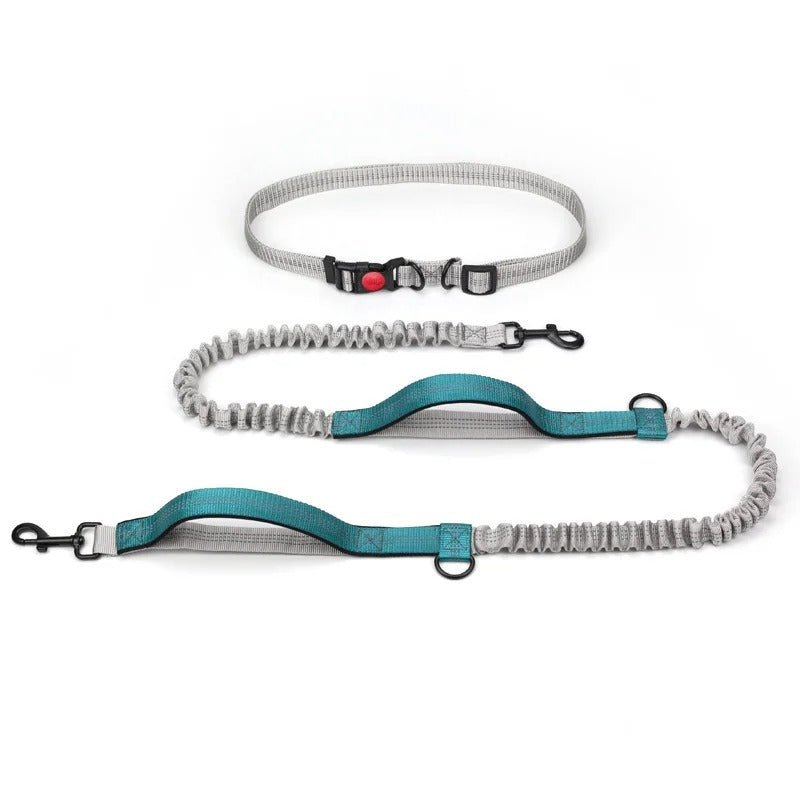 laisse pour chien main libre - Mon chien confortable