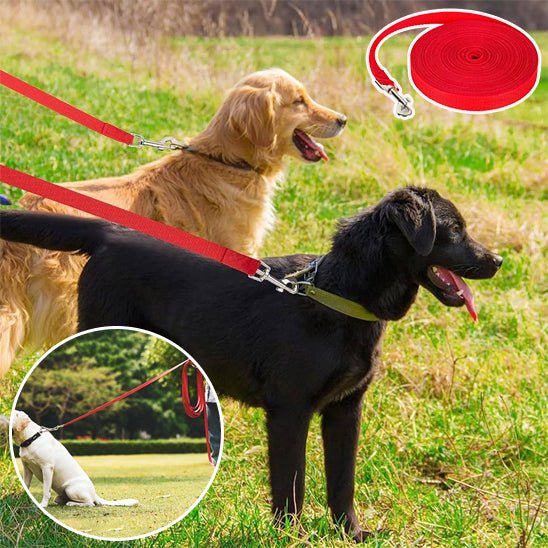 laisse pour chien Nylon - PP - Mon chien confortable