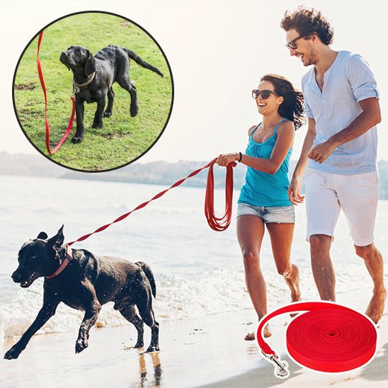 laisse pour chien Nylon - PP - Mon chien confortable