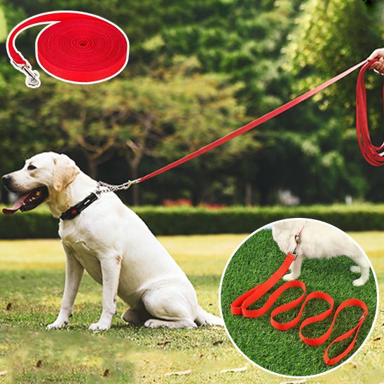 laisse pour chien Nylon - PP - Mon chien confortable