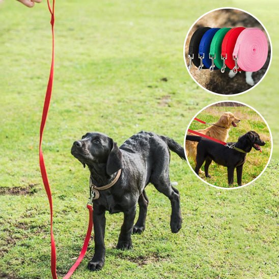 laisse pour chien Nylon - PP - Mon chien confortable