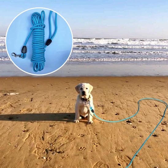 Laisse pour chien - PVC - Entraînement - Mon chien confortable
