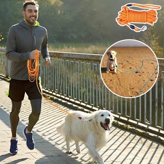 Laisse pour chien - PVC - Entraînement - Mon chien confortable
