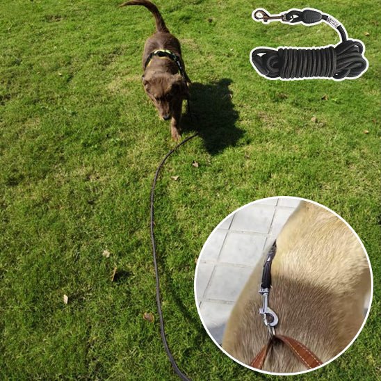 Laisse pour chien - PVC - Entraînement - Mon chien confortable