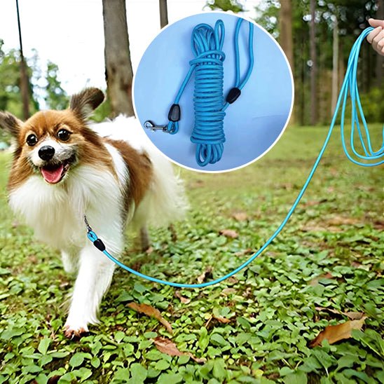 Laisse pour chien - PVC - Entraînement - Mon chien confortable